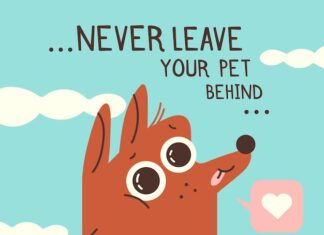 цитаты про мою собаку вдохновение и любовь