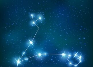 созвездие canes venatici описание и интересные факты