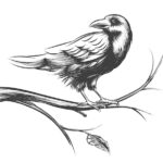 значение тату ястреб символика и смысл