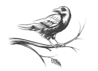 значение тату ястреб символика и смысл