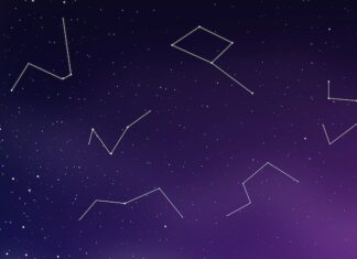 звезды созвездия телец их особенности и значение