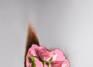 роза в эзотерике значение и символизм