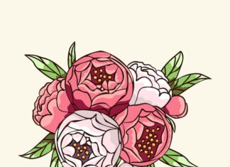 значение цветка ранункулюс в букетах и символике