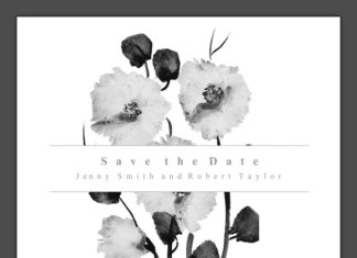 белый мак значение и символика цветка