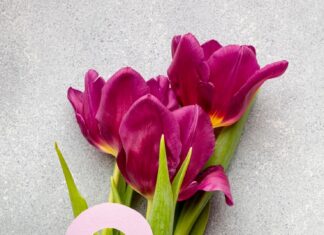 Комета шумейкера леви 9 столкновение с юпитером