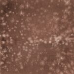 Пони таун кожа особенности и применение