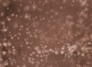 Пони таун кожа особенности и применение