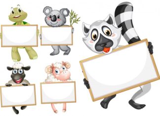 Смешные названия для музыкальных групп