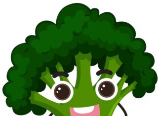 Брокколи в питании малыша польза и рецепты