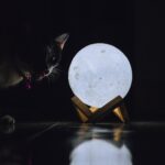 Новолуние его основные характеристики и влияние