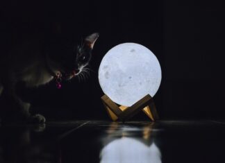 Новолуние его основные характеристики и влияние