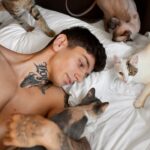 Мужчина лев в сексе особенности и советы