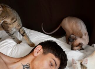 Мужчина лев в сексе особенности и советы