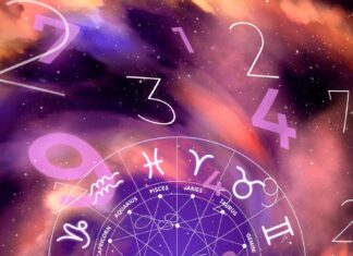 Гороскоп на 22 декабря знаки зодиака и предсказания
