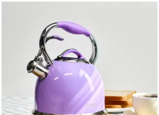 Как выбрать идеальный чайник для плиты: руководство покупателя