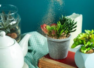 Рецепт торта несквик в домашних условиях