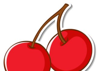 Что символизирует вишня в культуре и традициях