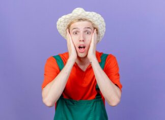 Что такое плис и его особенности