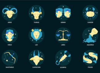 Десцендент в тельце смысл и интерпретация