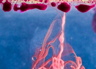 Рак третья декада знаки зодиака и их влияние