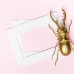 Как выглядит жучок описание и внешние признаки