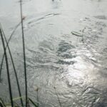 Мутная вода во сне значение и толкование