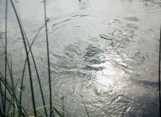 Мутная вода во сне значение и толкование