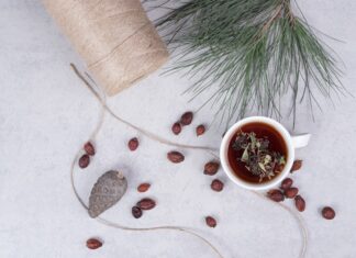 Магические свойства можжевельника и их применение