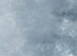 Как отследить заказ халвы статус и доставка