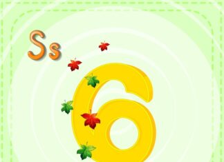 06 ком что это значит и как использовать