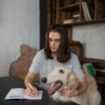 Статус собаки в современном обществе