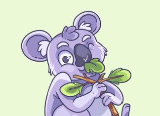 Коала символ Австралии и безмятежности