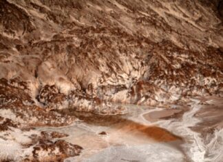 Сонник перепаханная земля значение и толкование