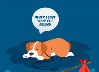 Сонник собака утонула — толкование и значение сна