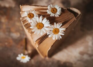 Картинки размером 1590 на 400 пикселей