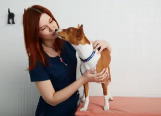 Клиника доказательной ветеринарии: научный подход к лечению животных