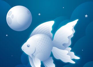 Значение золотой рыбки в культуре и символике