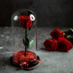 Гадание на розе традиции и значение