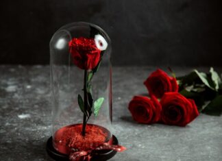 Гадание на розе традиции и значение