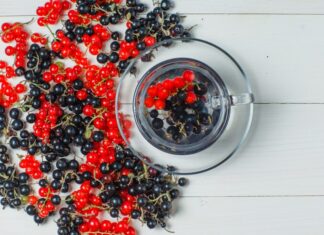 Обзор букмекера калина 1 и его особенностей