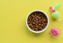 Корм для домашних животных: ассортимент и выбор лучшего питания