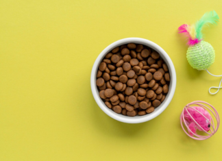 Корм для домашних животных: ассортимент и выбор лучшего питания
