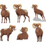 Овен: какой дом подходит для представителей этого знака зодиака