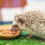 Мастерим ежиков: пошаговое руководство