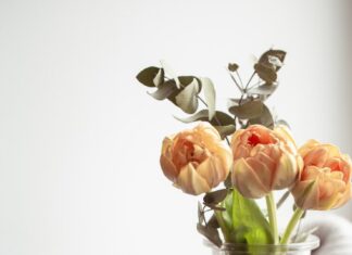 Аналог доброго утра