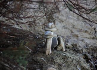 Сочетание отшельничества и мира