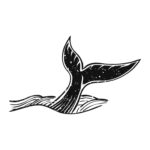 Значение татуировки акулы