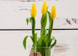 Цветок в имени: значение и история