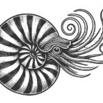 Значение татуировок: волна как символ перемен