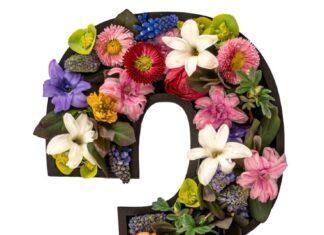 Число 13: значение и тайны